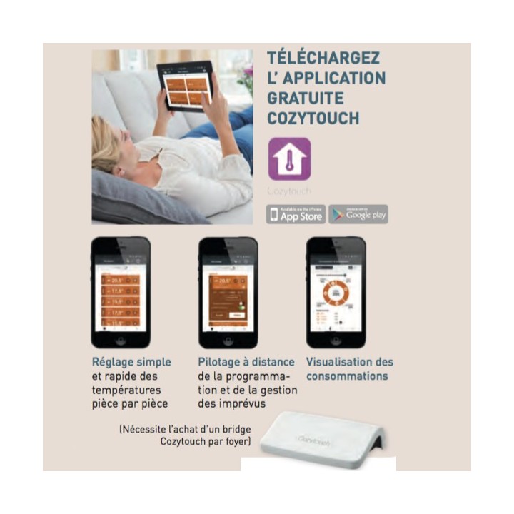 OVATION 3 Plinthe - Gris Ardoise - Connecté [- Radiateur Inertie Aluminium - Thermor]