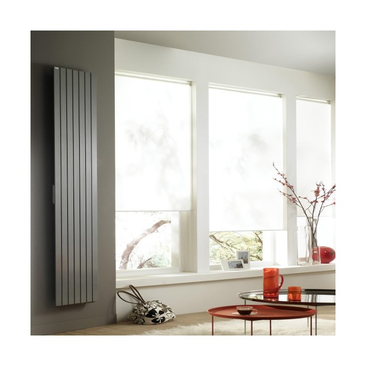 FASSANE PREMIUM Digital Vertical [- THXP-GF - Radiateur Inertie électrique - Acova]