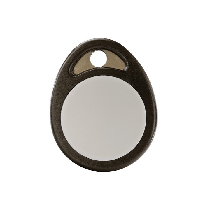 BRFID TYXAL+ [Badge RFID pour lecteur de badge LB2000 - Gamme X3D - Delta Dore]