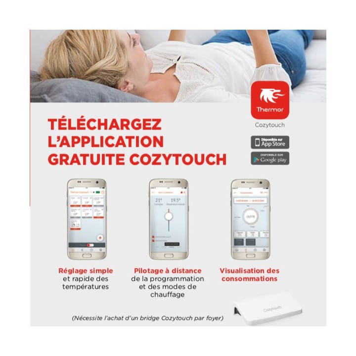 EMOTION 4 Connecté - Vertical [- Pilotage intelligent - Panneau rayonnant - Thermor]