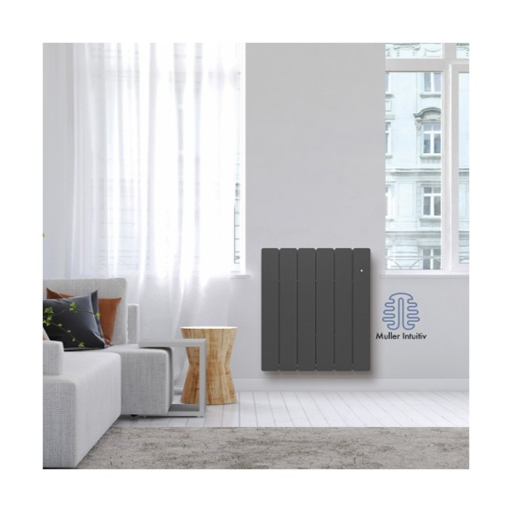 BELADOO Horizontal - Anthracite - Connecté [- Radiateur Inertie Fonte - Muller Intuitiv - Noirot - Applimo - Airelec]